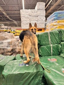 Dog Training Elite Greater Cleveland