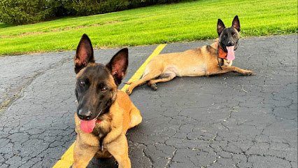 K-9 Krafters