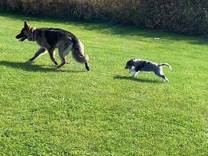 Saving Grace K9s
