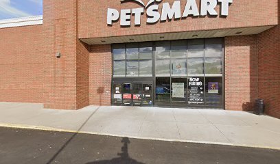 PetSmart Dog Training