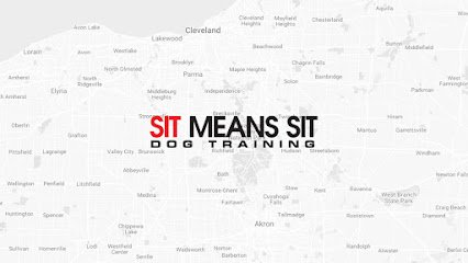 Sit Means Sit Dog Training Cleveland & Akron