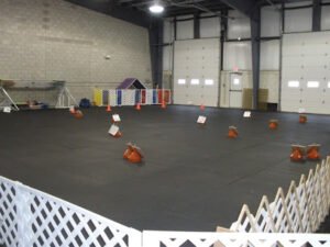 Canine Affair Center
