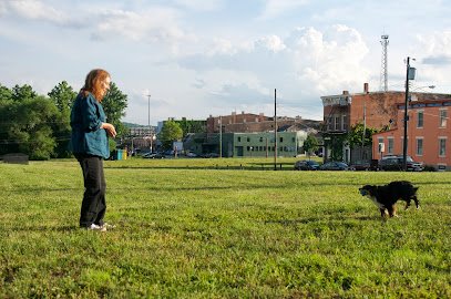 Puppy Prep School