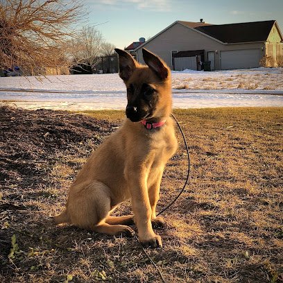 Whited K-9 Services, Inc.