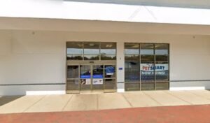 PetSmart Dog Training