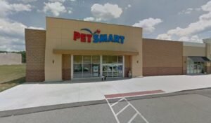 PetSmart Dog Training
