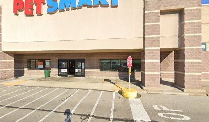 PetSmart Dog Training