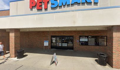 PetSmart Dog Training