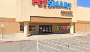PetSmart Dog Training
