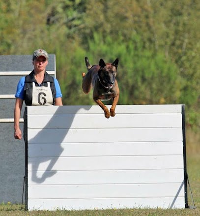 Deschutes K9 Training Solutions LLC
