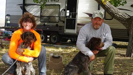 RidenHigh GunDogs