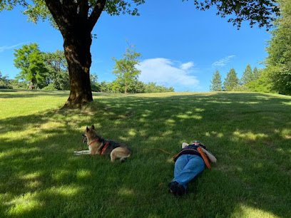 Assembly of the Wandering Shepherd