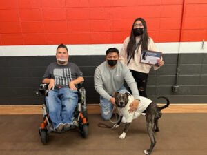 Prodogz Professional Dog Training