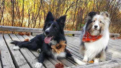 Double-C Dog Training