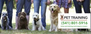Comprehensive Pet Therapy Inc – Dog Training Oregon