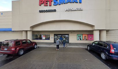 PetSmart Dog Training