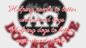 Alpha Omega Dog Service