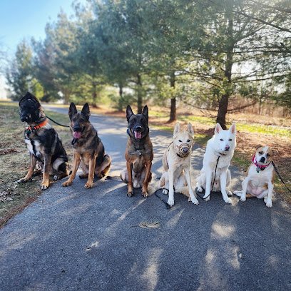 Taylor’d Dog Services LLC