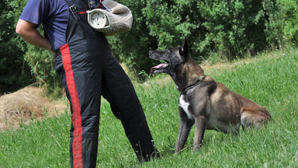 Nikki Banfield’s School For K9’s