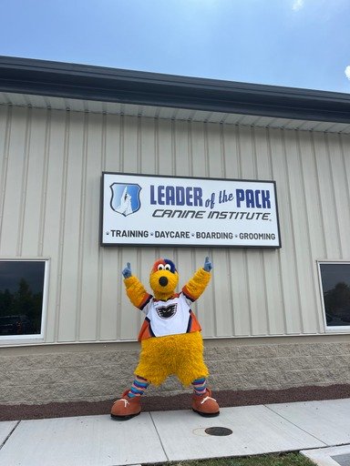 Leader of the Pack Canine Institute II (Easton)
