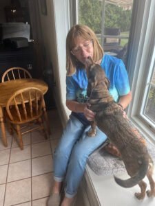 Your Best Buddy Dog Training