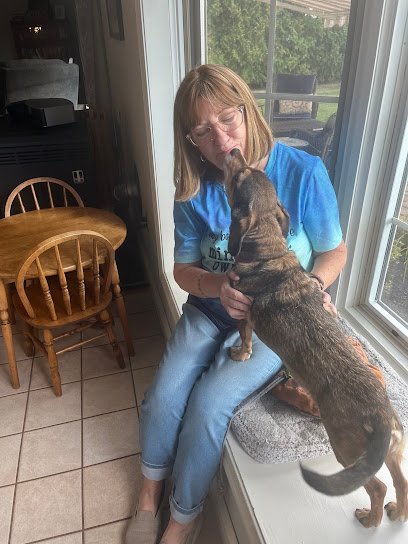 Your Best Buddy Dog Training