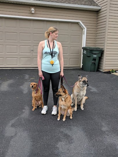 Pack Leader Dog Training