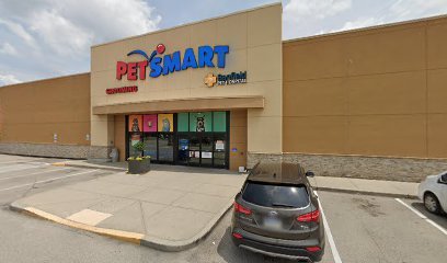 PetSmart Dog Training