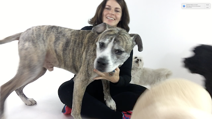 SoozyPooch LLC