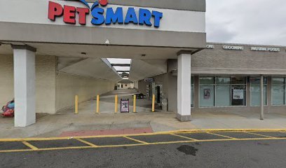 PetSmart Dog Training