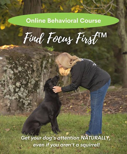 Cold Creek Dog Training