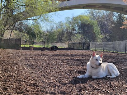 High Paw Club
