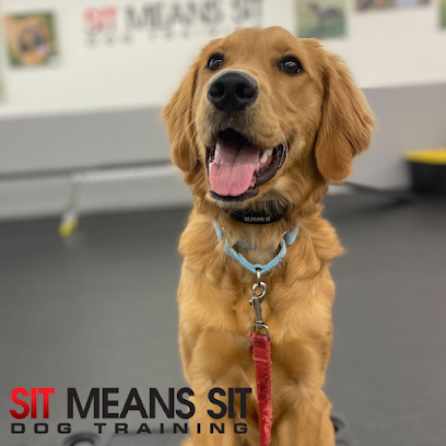 Sit Means Sit Dog Training Pittsburgh