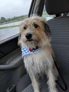 Oscar’s Pet Resort of Greenfield, Inc.
