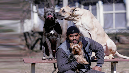 Stronghaus Dog Training Center