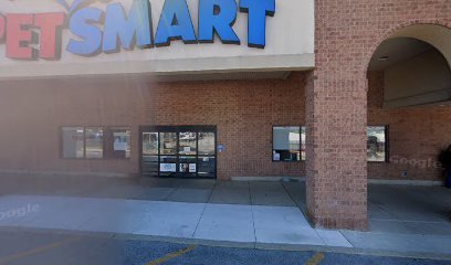 PetSmart Dog Training