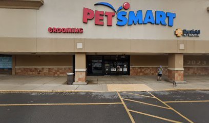 PetSmart Dog Training