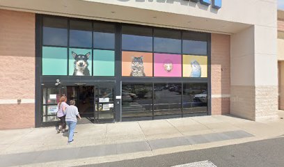 PetSmart Dog Training