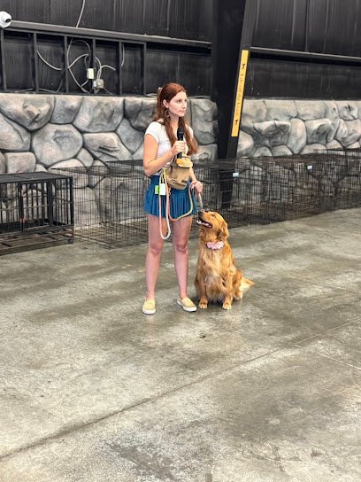 Strategic K-9 Training