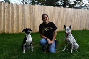 Knight and Day Dog Training LLC