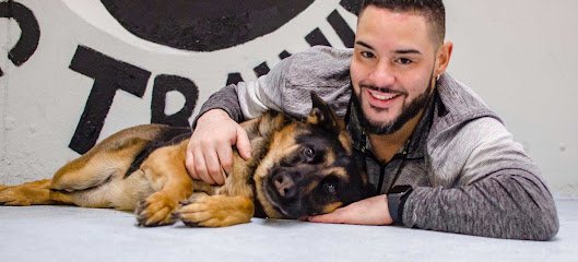Harmony Dog Training LLC