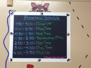 Pooch Pawsitive Dog Training