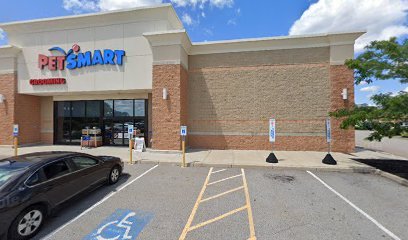 PetSmart Dog Training