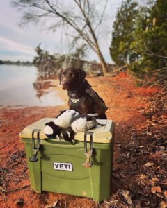 Copper Bottomed K9 Training