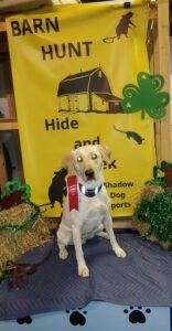 Greater Columbia Obedience Club