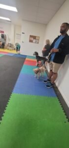 Anderson Dog Works Inc
