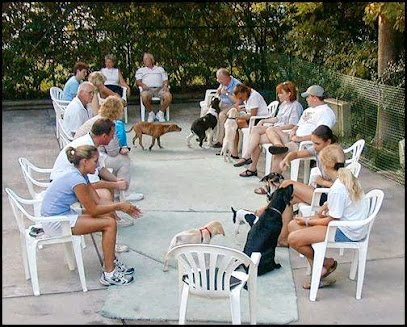 Dirk Tysinger Dog Training