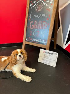 Sit Means Sit Dog Training – Charleston