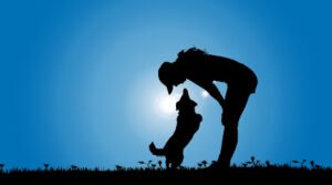 Happy K9 Academy