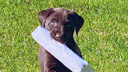 Will-Do Kennels